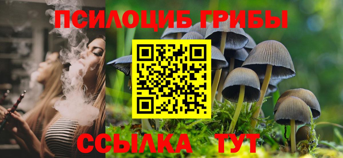 Псилоцибиновые грибы ЛСД Лосино-Петровский