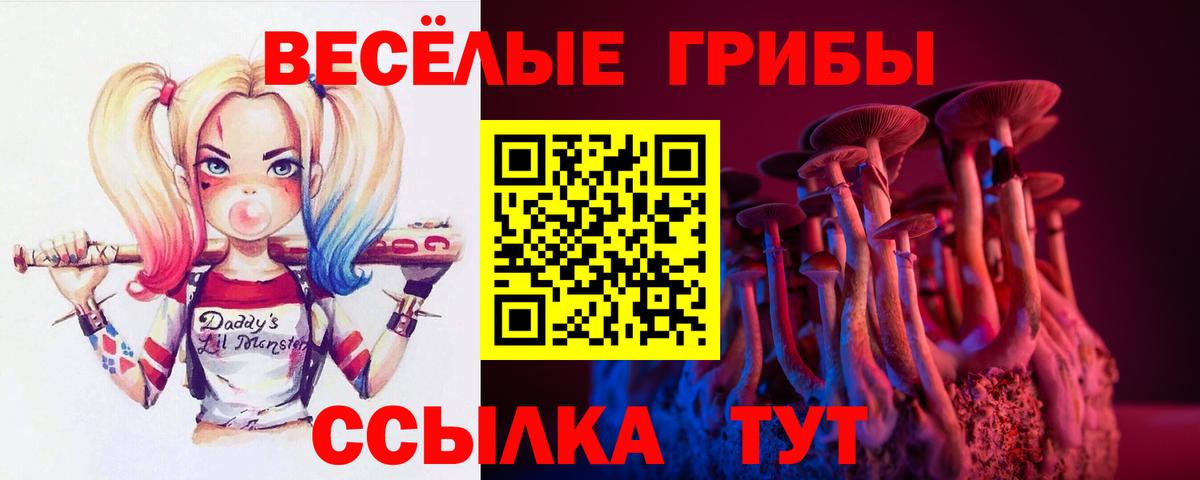 Галлюциногенные грибы Cubensis  Вход с VPN  Лосино-Петровский  Псилоцибиновые грибы ЛСД 